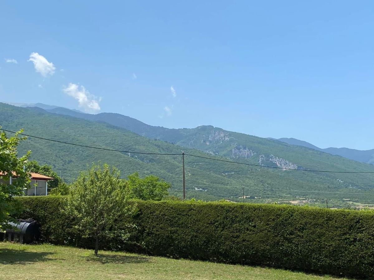 Villa Amfitriti Лептокария Экстерьер фото